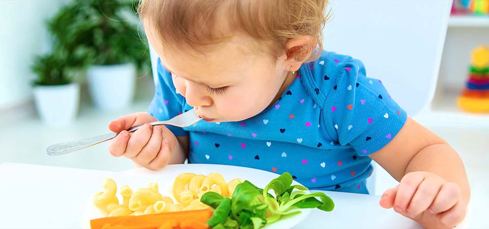 web stranice za Dječji vrtić Kalimero – Scuola dell’Infanzia Calimero Brtonigla