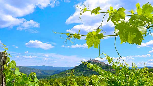Istra najbolje fotografije, slike