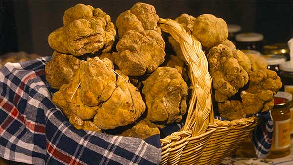 Istra najbolje fotografije, slike